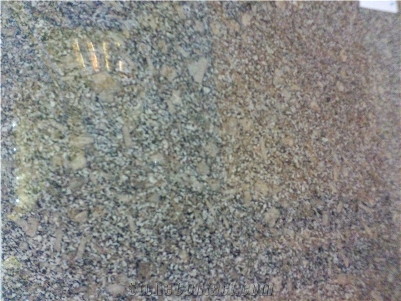China Polished Grey Granite Slabs/Tiles