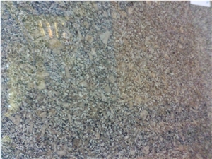 China Polished Grey Granite Slabs/Tiles
