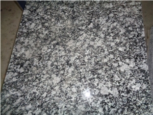 Spray White Granite Tile, Chinese Granite Tile & Slab for Wall and Flooring Covering, Winggreen