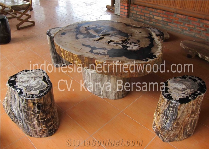 Petrified Wood Coffee Tables & Dinning Tables