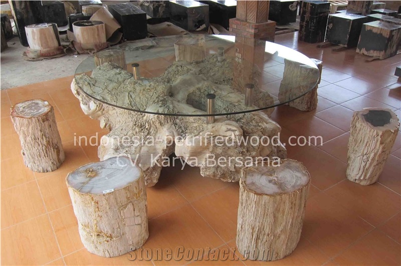 Petrified Wood Coffee Tables & Dinning Tables