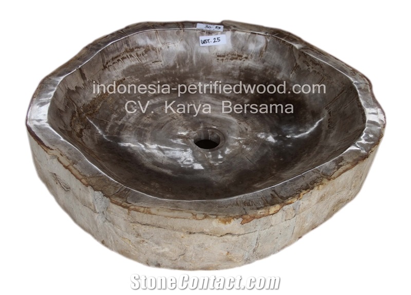 Petrified Wood Sinks and Bowls