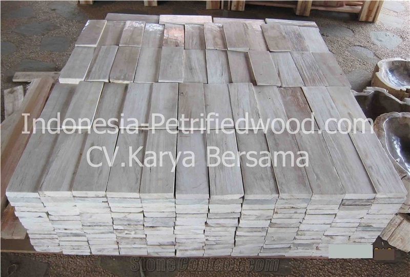Petrified Wood Tiles