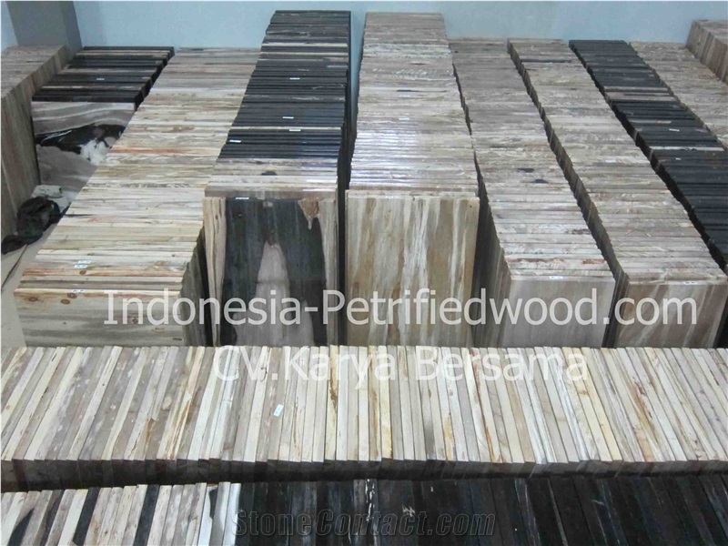 Petrified Wood Tiles