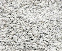 Saudi Bianco Granite Tiles & Slabs
