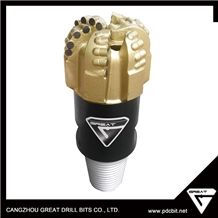 Cangzhou Produce High Quality Pdc Drilll Bit for Oil and Mining Well Drilling