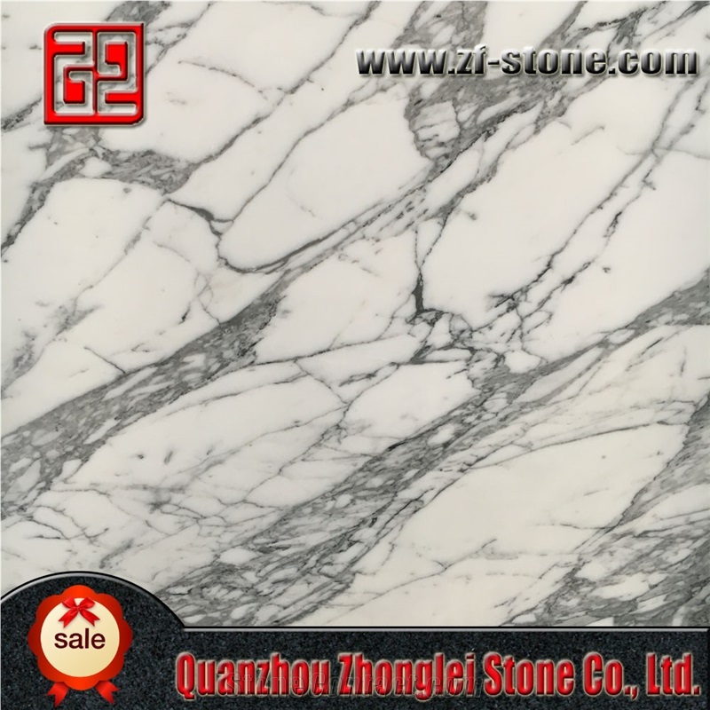Arabescato Wormal Natural White Marble Tiles & Slabs, Italy White Marble