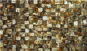 Petrified Wood Slabs & Tiles