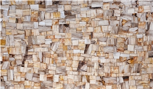 Petrified Wood Slabs & Tiles