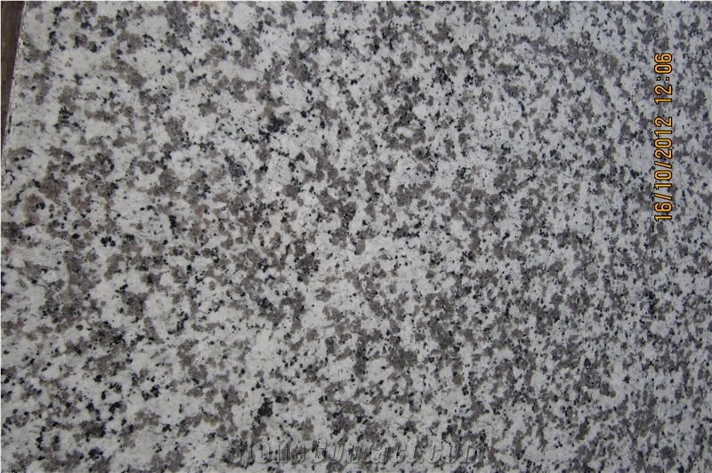 Polished China Granite G439 Tile,Slab,Flooring,Paving,Wall Tile,Big Flower White