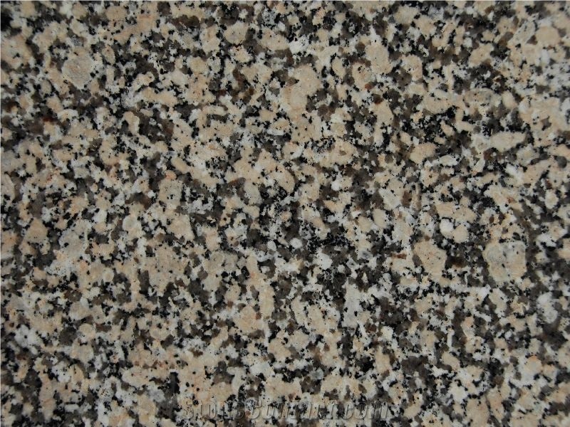 Gris Perla granite tiles & slabs, grey polished granite flooring tiles, walling tiles 
