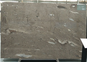 Cygnus Quartzite Slabs & Tiles, Brazil Brown Quartzite