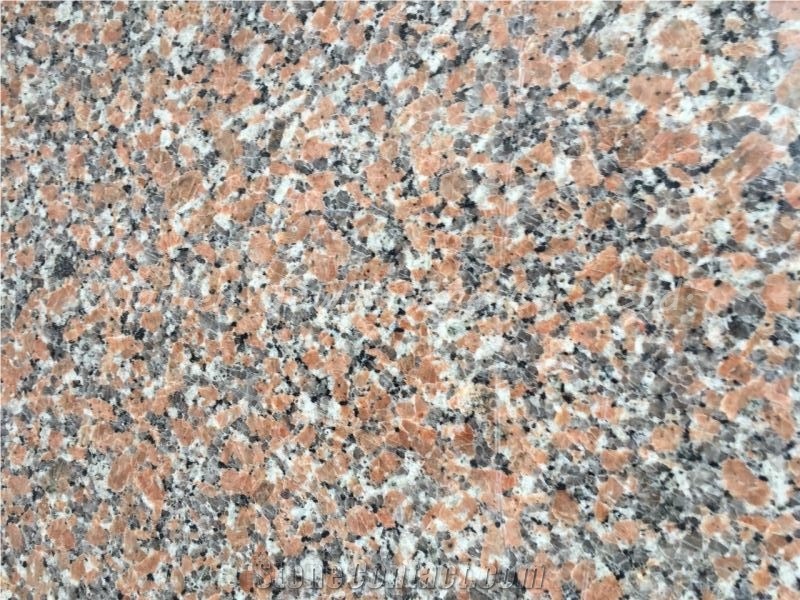 Poished Chinese Red Granite/ Gui Lin Red/ Maple Red Granite for Paving, Flooring,Steps, Wall, Etc