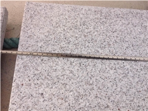 Hot Sale Shandong Sesame White Granite Tiles & Slabs,China White Granite G365 Granite Tiles for Wall,Floor Covering,Flamed Surface Shandong White Granite