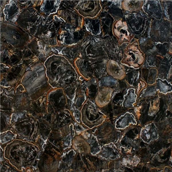 Black Petrified Wood Full Semiprecious Stone Slabs From India