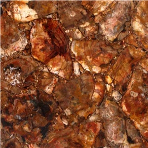 Petrified Brown Semiprecious Stone Tiles & Slabs
