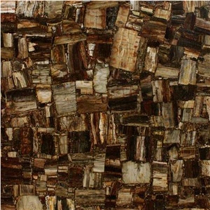 Retro Petrified Wood Semiprecious Stone Tiles & Slabs, Brown Stone Flooring Tiles