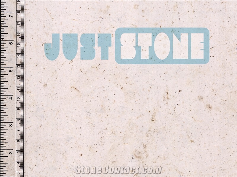  Tunisia Beige Limestone，Cheverny Beige,Cheverny Cream Limestone,Arum Cream Limestone,Beige Cheverny Limestone,Thala Beige,Beige Cheverny,Tunisia Beige(Light Color) Limestone Slabs & Tiles