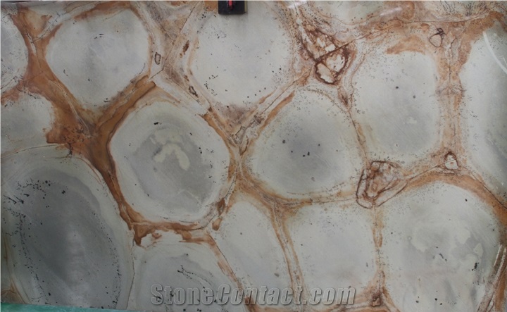 Verde Tartaruga Quartzite Wall Covering ,Quartzite Floor Covering