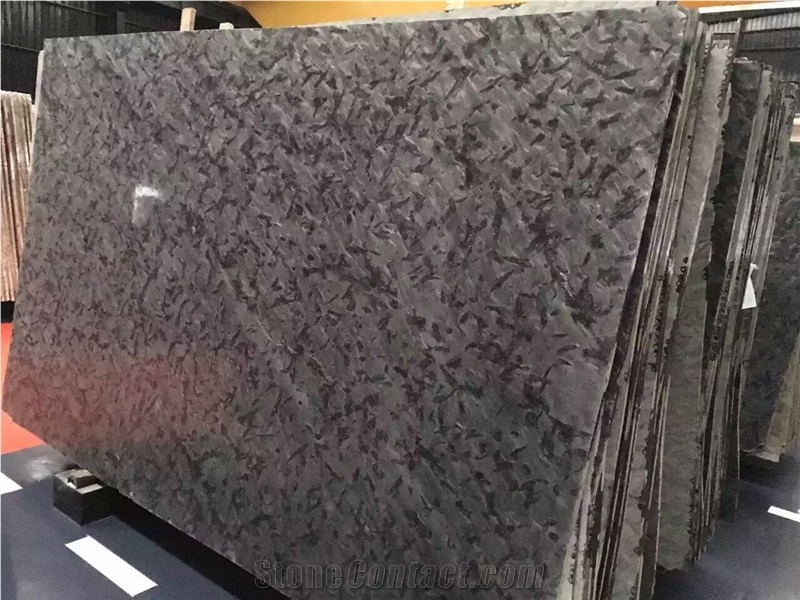 Matrix Black Granite Polished Slab & Tile, Brazil Versace Black Granite Walling & Flooring