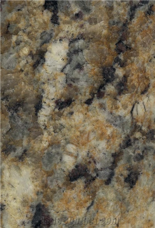 Giallo Napoleon Granite Slabs Tiles From China Stonecontact Com
