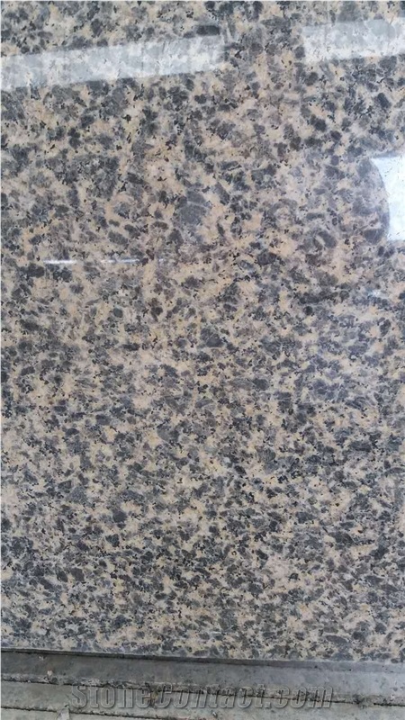 Leopard Skin Black Granite Slab Tiles,Leopard Skin Brown Granite Slab Tiles