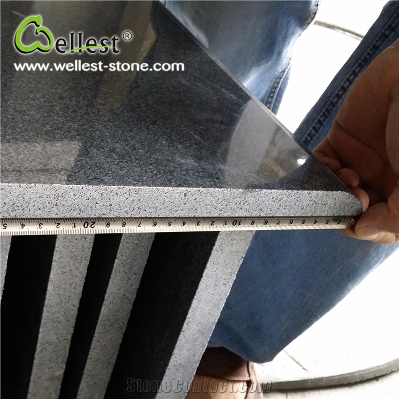 Hot Selling High Quality G654 Black Stair Treads with Half Bullnose Edge
