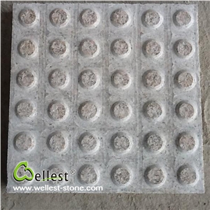 Wholesale High Quality Natural Granite Blind Paving Stone for Pavement