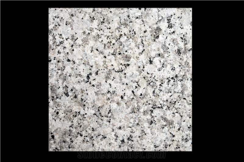 Pear Flower White ,Unique Product /White Polished Granite Polished Granite Tile, Superior Quality Be Of High Quality