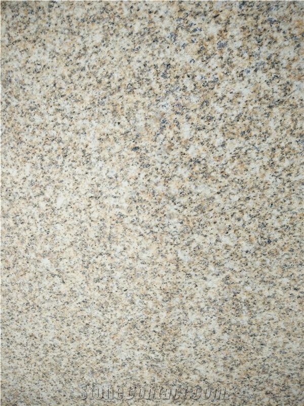 China G350 Yellow Granite Tile , Nice Quality Of Beige Granite