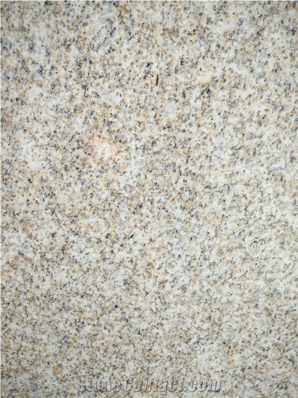 China G350 Yellow Granite Tile , Nice Quality Of Beige Granite