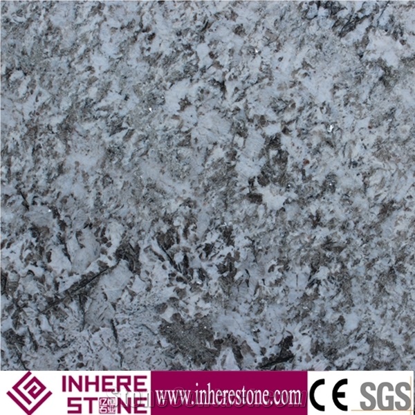 Bianco Antico Polished Granite Slabs,Import Stone Brazil Blanco Potiguar White Granite Cheap Price