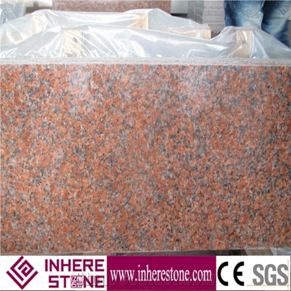 G562 Maple Red Polished Granite Slabs & Tile with Good Quality, China Red Granite