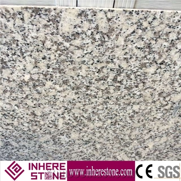 G602 Grey Natural Granite, China Grey Sardo,Mayflower Snow,Nanan Mayflower Snow