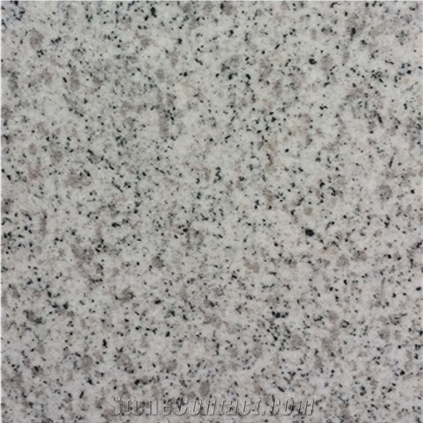Hot Sale Polished G365 White Granite/Shandong White Seasame/Pitaya White