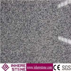 Jinjiang Neicuo Bai G633 Granite Floor Wall Tiles,Bally White Natural Stone,Padang Chiaro Light Grey Granite