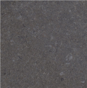 Gray Pearl Limestone Walling & Flooring Covering Slabs & Tiles, China Grey Limestone