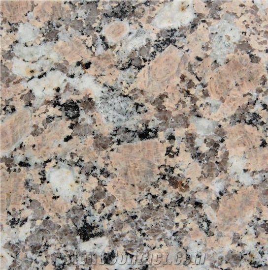 Pebble Beach Granite Wall Covering Slabs & Tiles, China Pink Granite