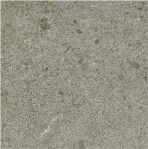 Starlight Limestone Slabs & Tiles, China Grey Limestone