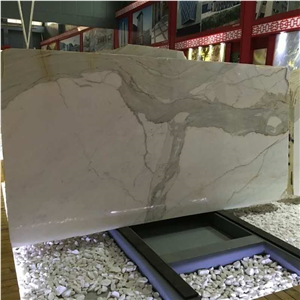 Calacatta Gold Marble Slab White Marble Price in India