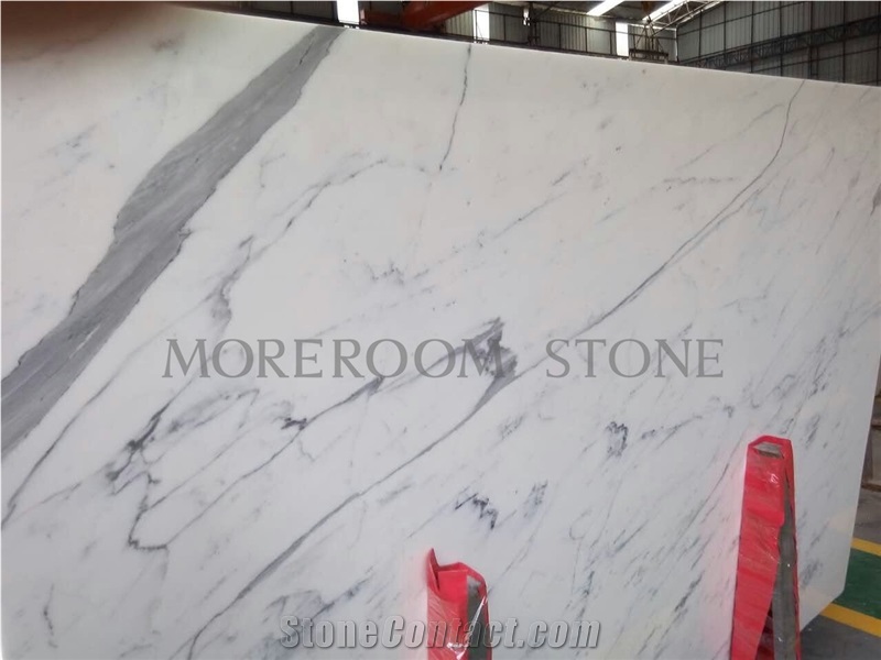 Snow White Marble with Black Veins Marble Tile & Slab for Floor Wall Tiles