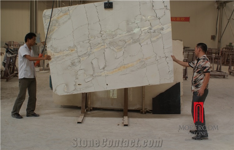 Sturiario Picasso White Marble with Gold Vein Marble Slab