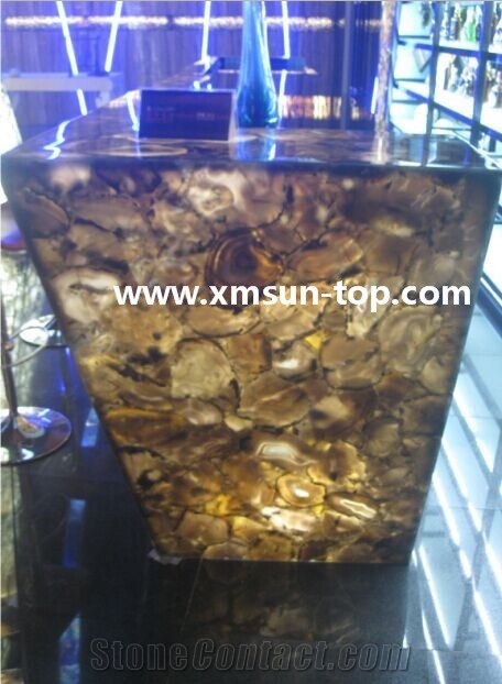 Brown Petrified Wood Semiprecious Bar Top/Reception Top/Engineered Stone Countertop/Solid Surface Top/Kitchen Countertop