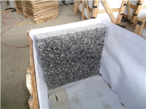 China Spray White Granite Tile for Floor and Wall Covering, High Polished Granite Tile, Winggreen
