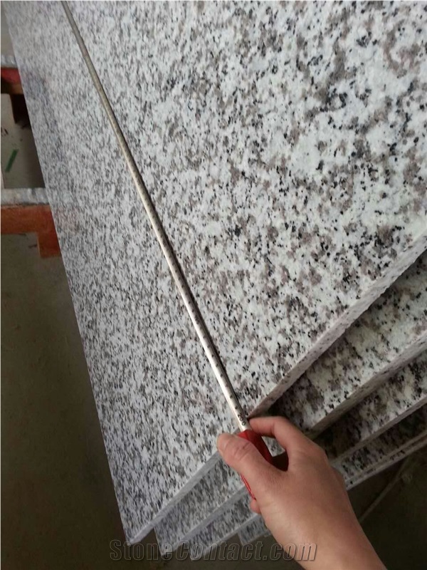 G439 Granite,Polished China Bianco Sardo,Sawn Cut Big Flower White Granite,Sanded Big Flower Granite,Puning White Granite for Walling Covering,Floor Covering