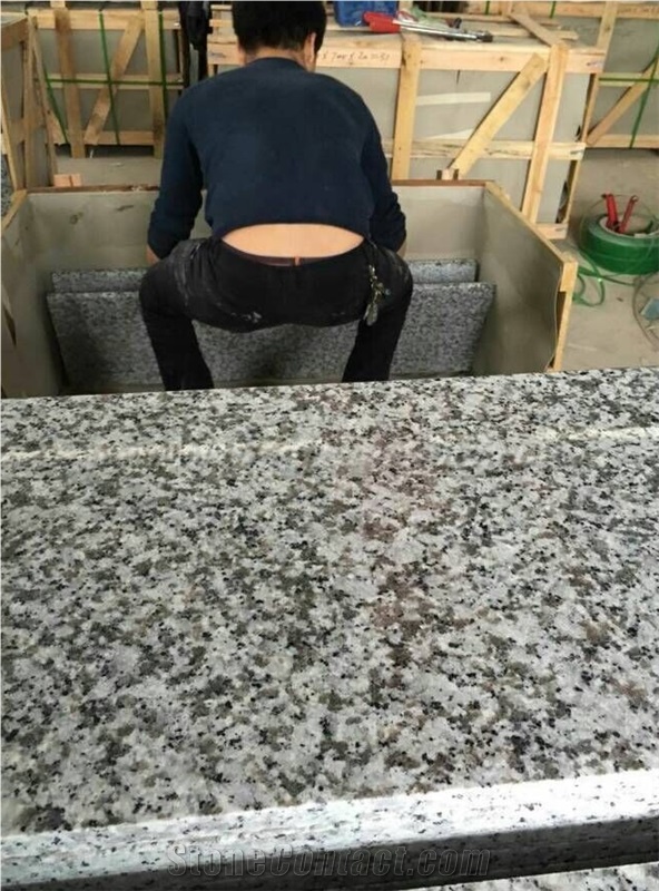 Polished G439 Granite Steps, China White Flower Granite Steps & Risers, Treads and Threshold, Xiamen Winggreen Manufacture