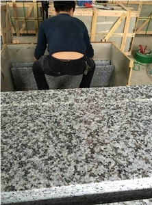 Polished G439 Granite Steps, China White Flower Granite Steps & Risers, Treads and Threshold, Xiamen Winggreen Manufacture