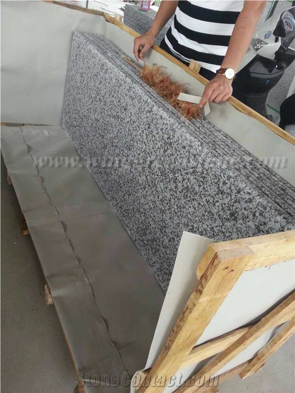 Popular Stone G439 Granite Kitchen Countertops Polished White Granite/ Big White Flower Granite Kitchen Countertops, Winggreen Stone