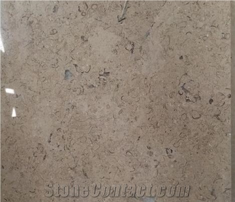 Sinai Pearl Polished, Egypt Beige Limestone Slabs & Tiles