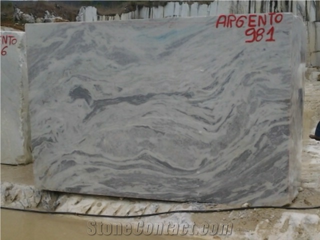 Argento - Arabescatus Marble
